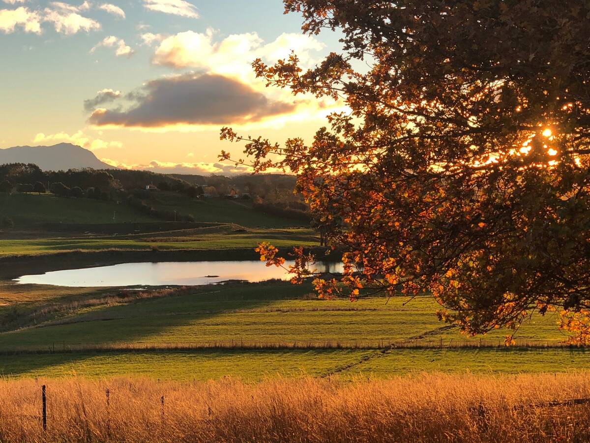 A scenic view captures a tranquil landscape at sunset, featuring lush green fields that gradually slope to a serene pond. Warm sunlight filters through golden leaves on a nearby tree, illuminating the surrounding area and highlighting distant hills under a softly colored sky.
