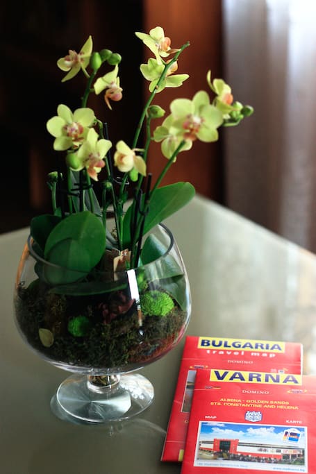 Welcome to Varna and my cosy apartment! Enjoy your stay!