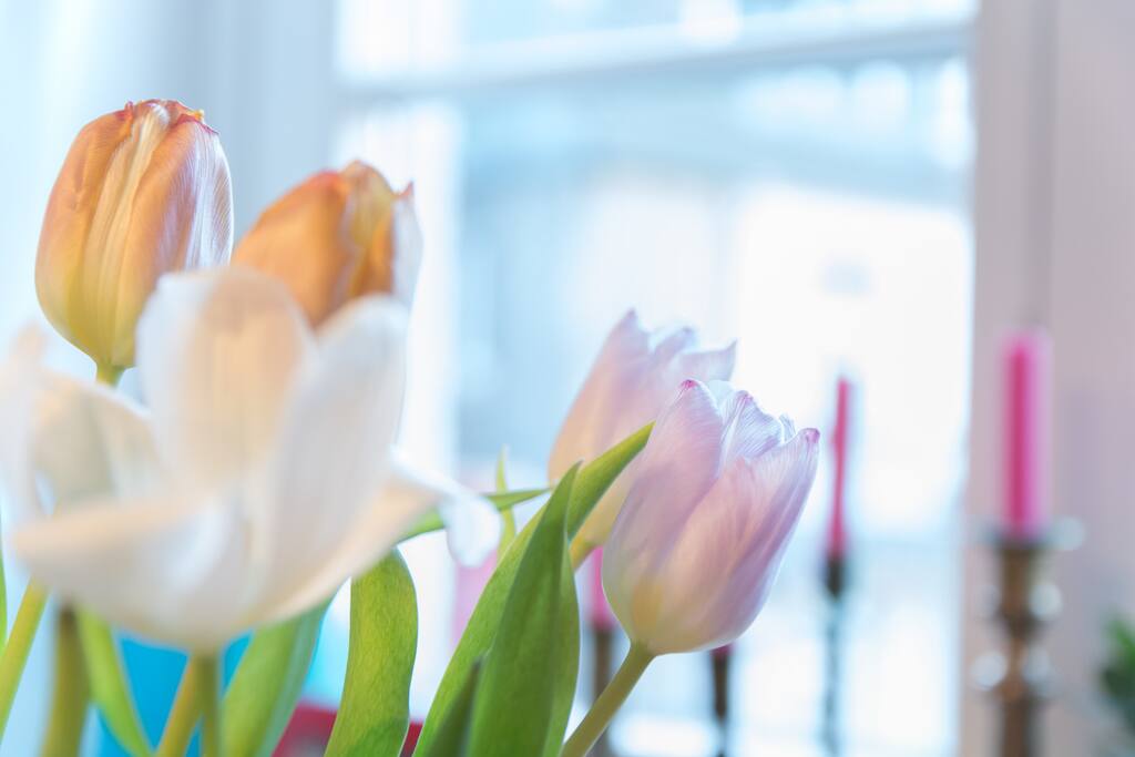....flowers welcome