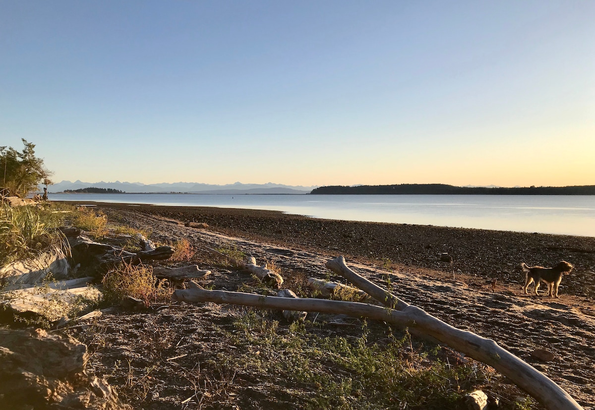 A serene beach landscape is depicted at sunset, showcasing a pebbly shoreline that stretches towards the horizon. Silhouetted gentle waves lap at the shore, with distant mountains visible under a warm sky. A dog walks along the beach, adding a sense of tranquility to the scene.