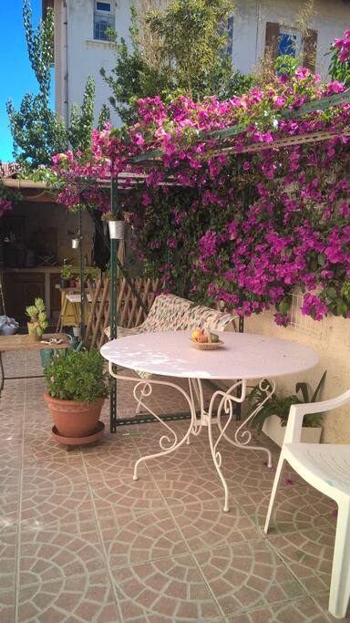 Table de jardin sous la tonnelle ombragée dans le patio