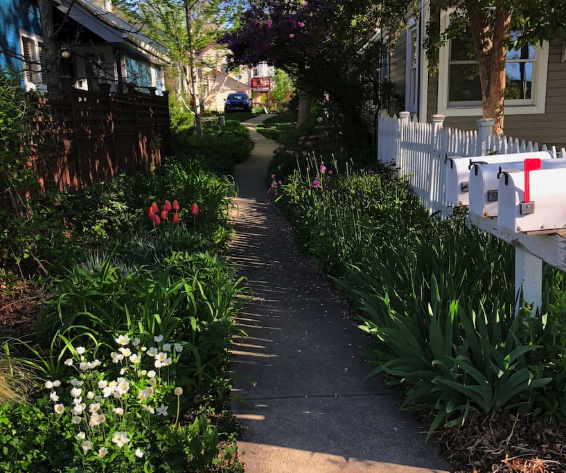 From Mapleton Avenue: a view of the sidewalk that leads to the house.