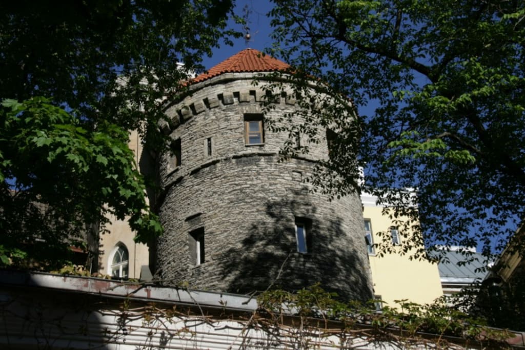 Our Rapunzel Tower windows on the top floor