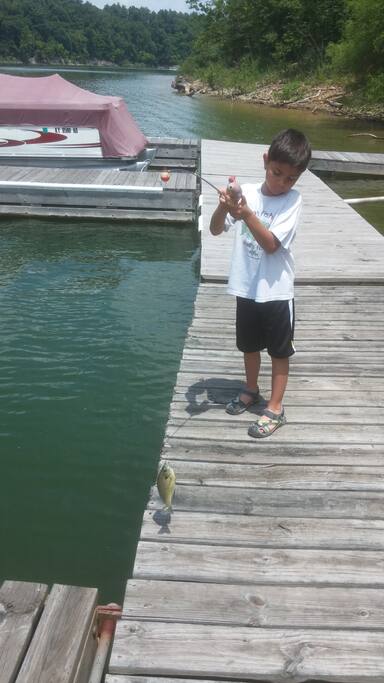 Fish from the docks...