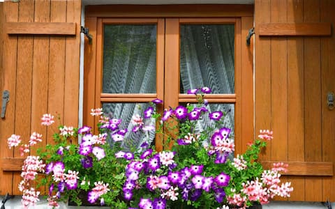 FW Haus Wildschütz (Frauenau), apartment no. 2 (75 sqm) with playground and table tennis