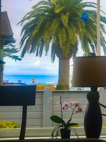 Ocean View House Few Steps from Miramar Beach gallery image 2