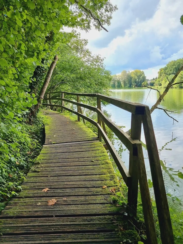 A wooden walkway is seen meandering alongside a serene lake, flanked by lush green foliage. The railing is constructed of timber, and the wooden planks are adorned with patches of moss, creating a natural and tranquil setting.