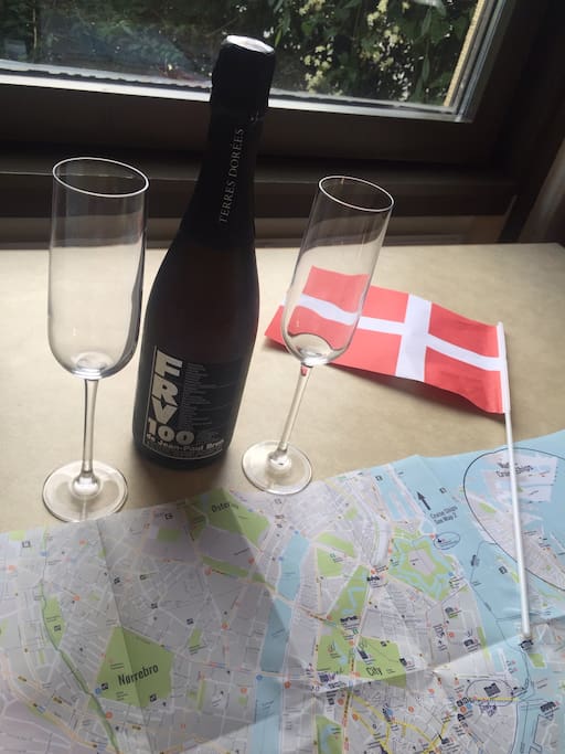 Welcome to Copenhagen!