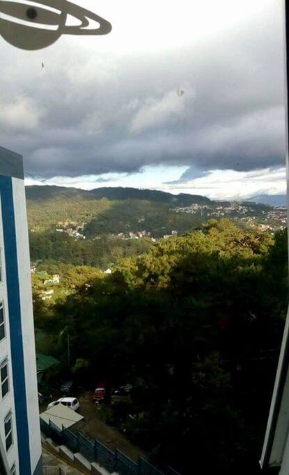 View outside the window