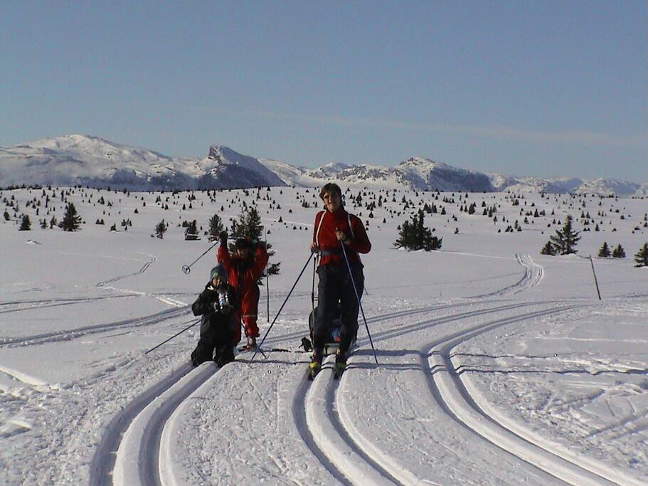 Golsfjellet Vest