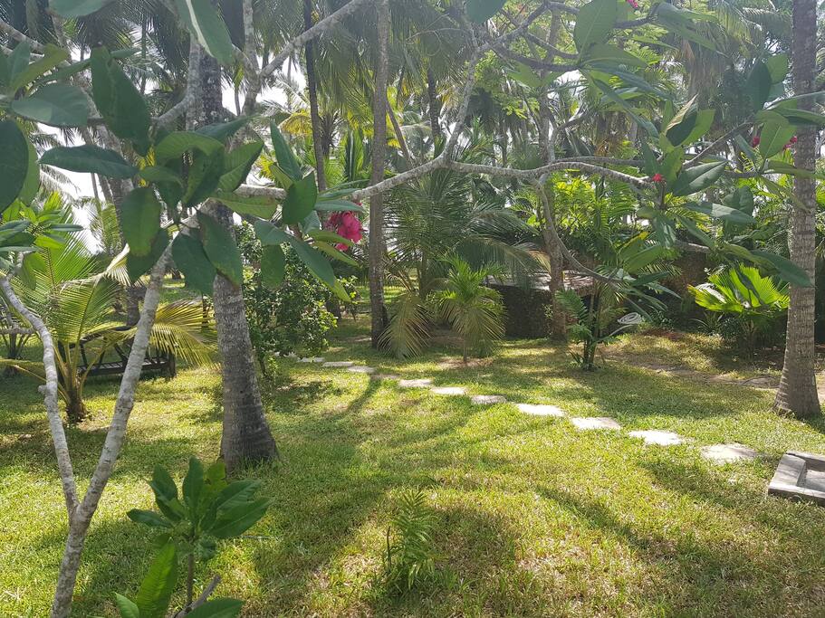 From rinse shower , the path through gardens to beach