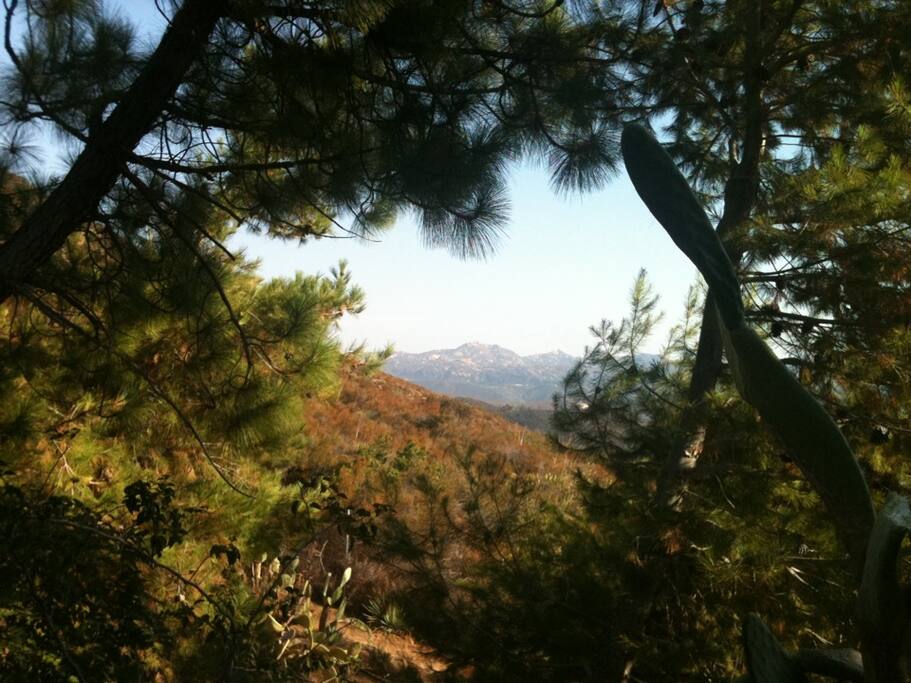 Mountain Views