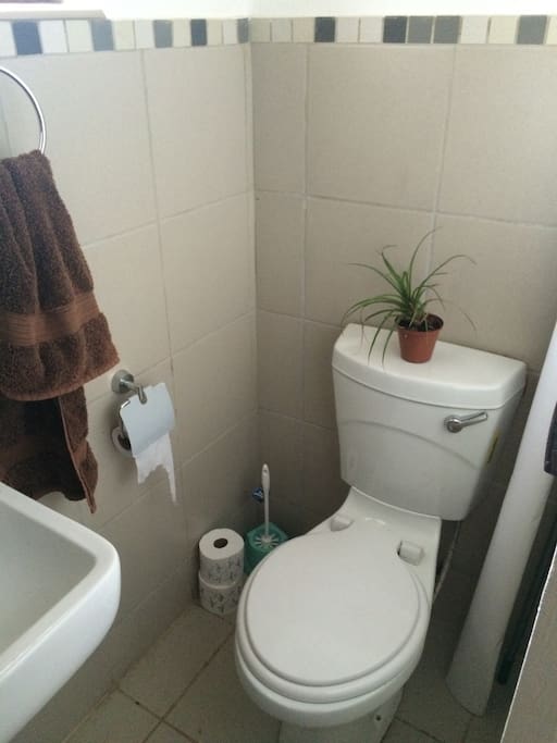 The bathroom has a toilet , basin and shower. I will provide you with clean towels and soap. :)