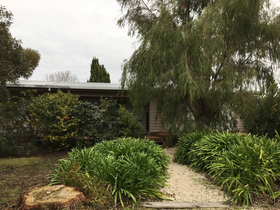Front view of the property where the outdoor seating and BBQ are situated. Perfectly camouflaged by the glorious garden featuring many native plants. A koala does often visit the tree to the right of the picture.