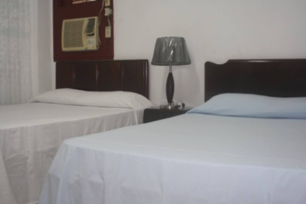 Dormitorio con dos camas grandes
