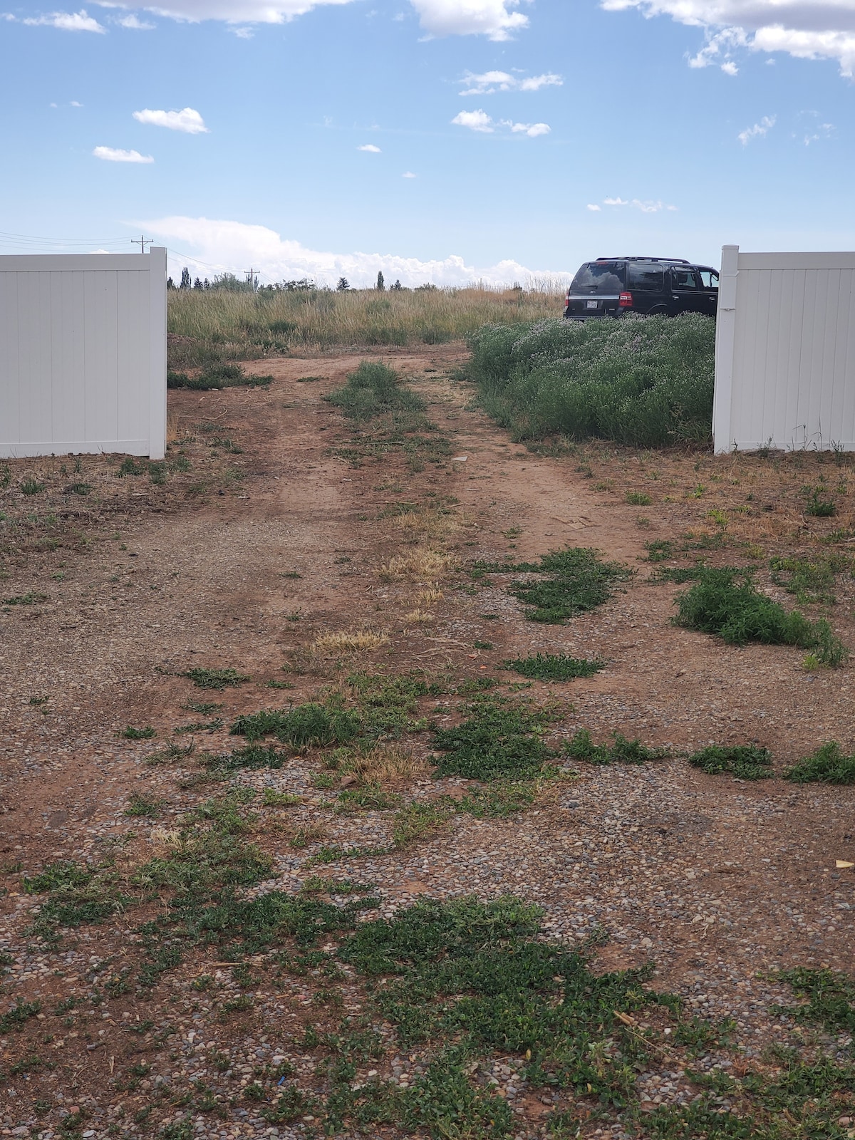 A gravel driveway leads through a white fence, surrounded by grasses and sparse vegetation. A vehicle is parked in the driveway, with blue skies and distant clouds visible above. The scene conveys a sense of openness and tranquility.