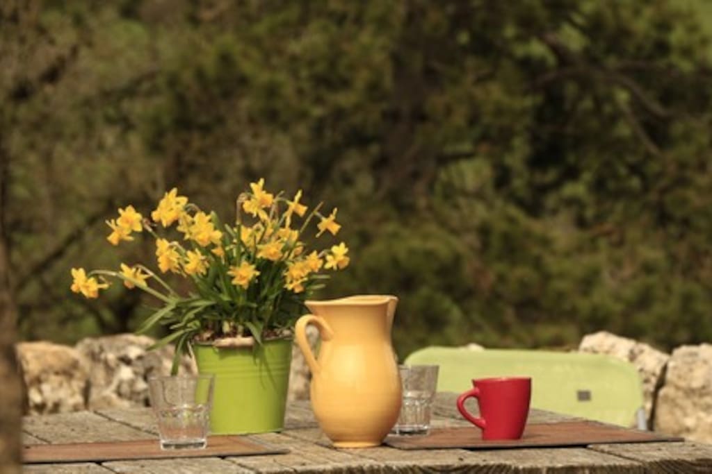 Temps calme sur la terrasse