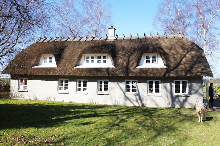 Værelse med stue og tagterrasse