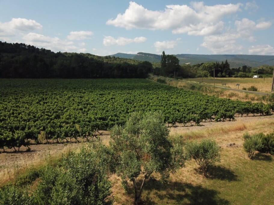 View from the house