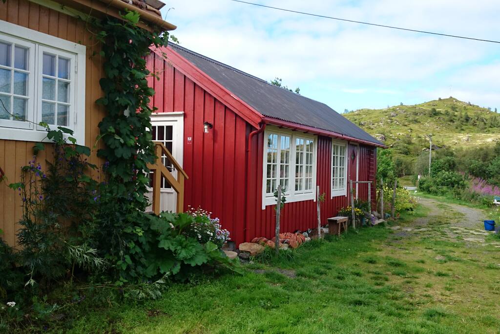 The cottage