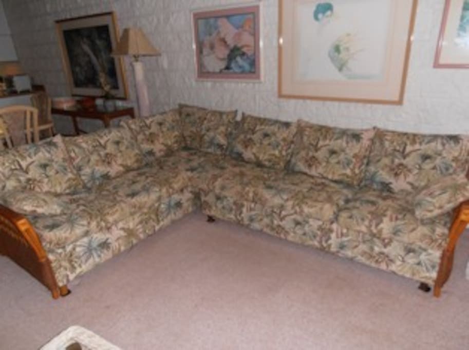 New sectional with comfortable sofa bed
