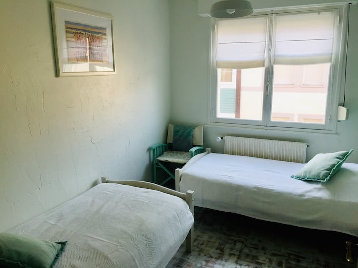 Зелена стая