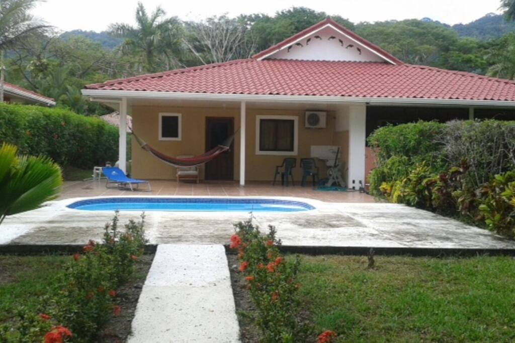 Pool & Yard