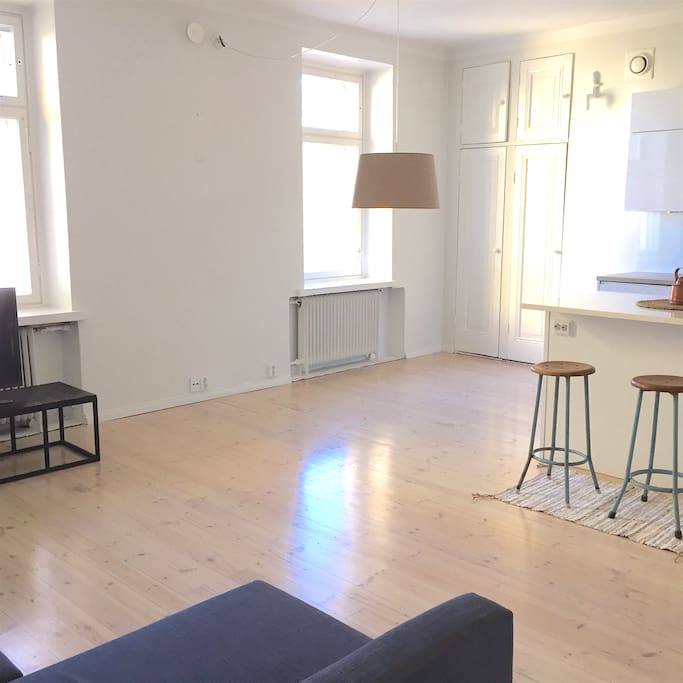 Spacious Minimalism . Bright Apartment