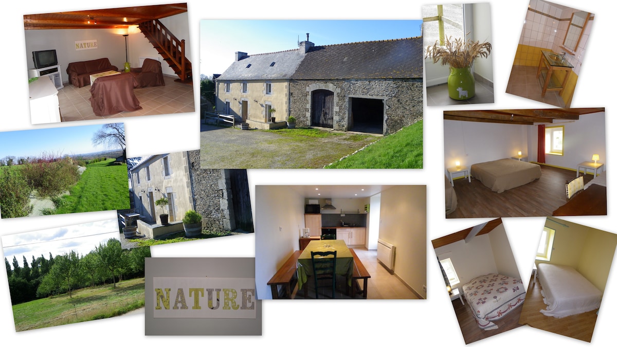 The stone exterior of a renovated farmhouse is shown against a clear sky, surrounded by open greenery. The spacious entryway features a large opening, inviting natural light into the interior. Various images depict cozy sleeping areas, a well-equipped kitchen, and a dining space with a wooden table.