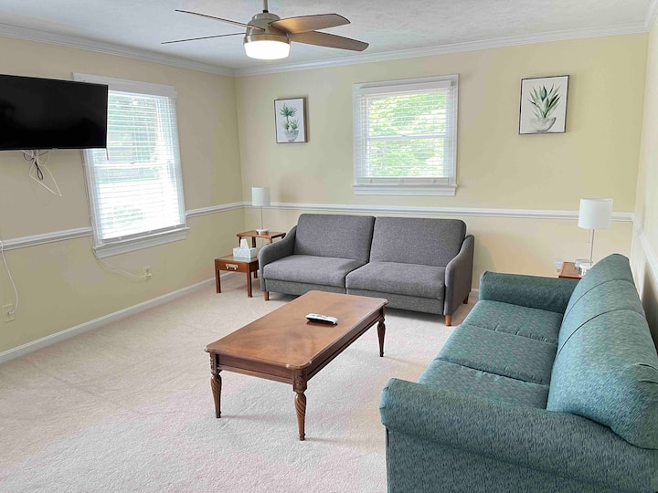 Living room with queen pull-out sofa(teal) and twin pull out sofa(grey).