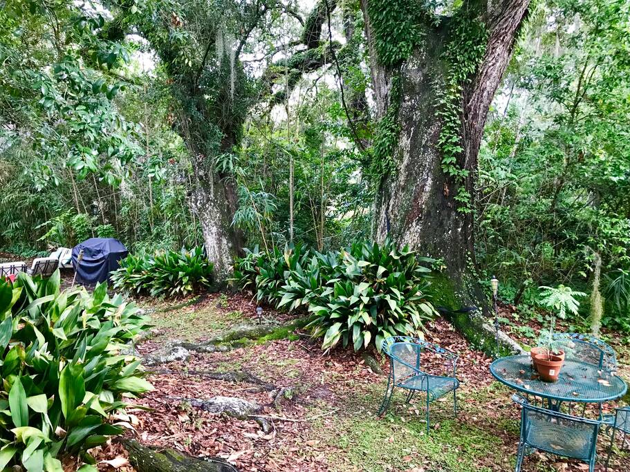 Very private feel right outside the cottage (plus sitting area)
