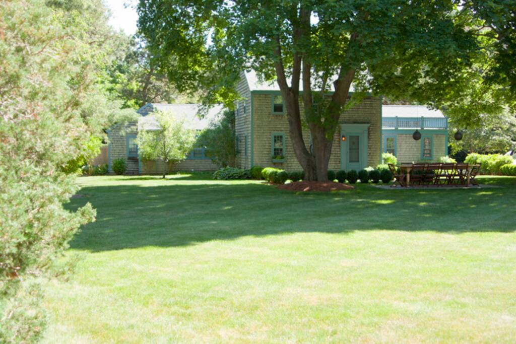 HUGE front yard- perfect for kids to run free!