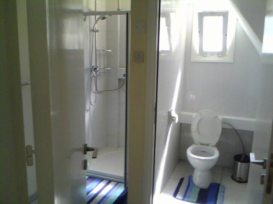 separated toilet and shower