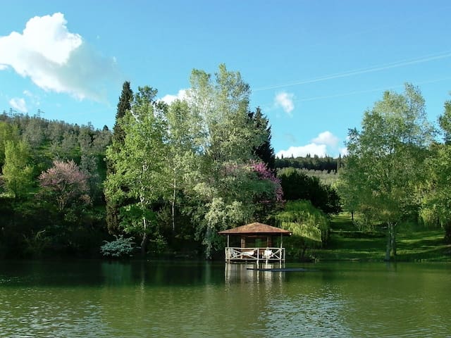 A Whole Charming Property facing Florence