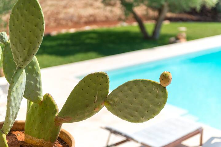 Dimora del Sole gallery image 5