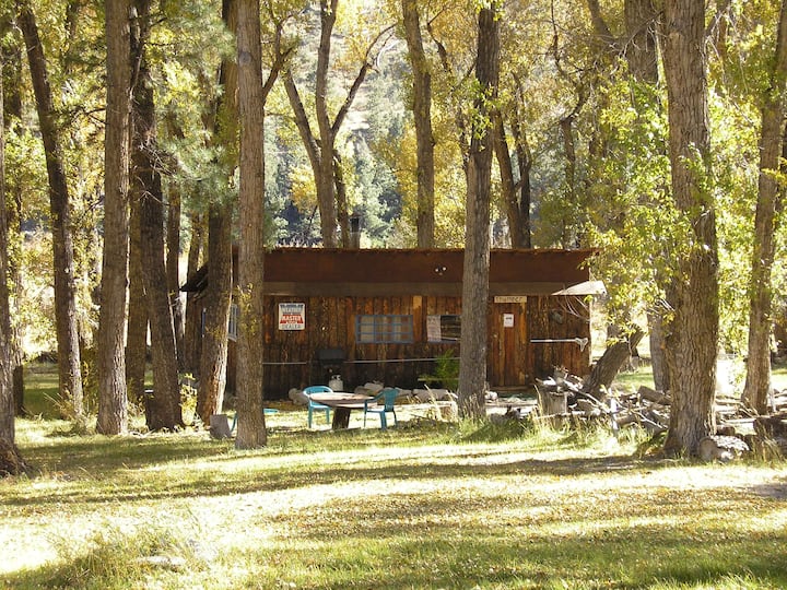 Thumper Cabin of Bunnylane Cabins for Rent in Nathrop, Colorado