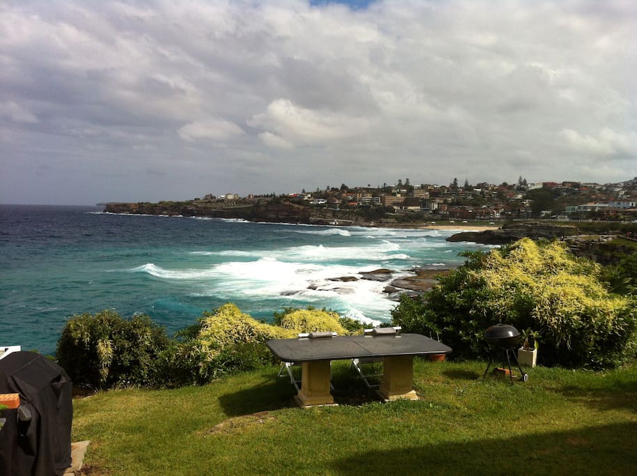Common back yard with direct access to Bondi to Bronte walkway