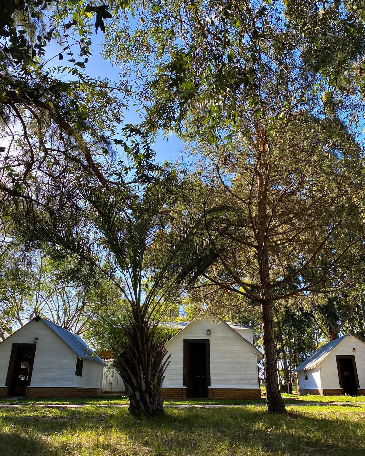 Two quaint cabins are situated amidst tall trees, surrounded by lush greenery. The bright blue sky is visible above, providing a sense of openness. Each cabin features a simple exterior with a welcoming door, suggesting a peaceful retreat.
