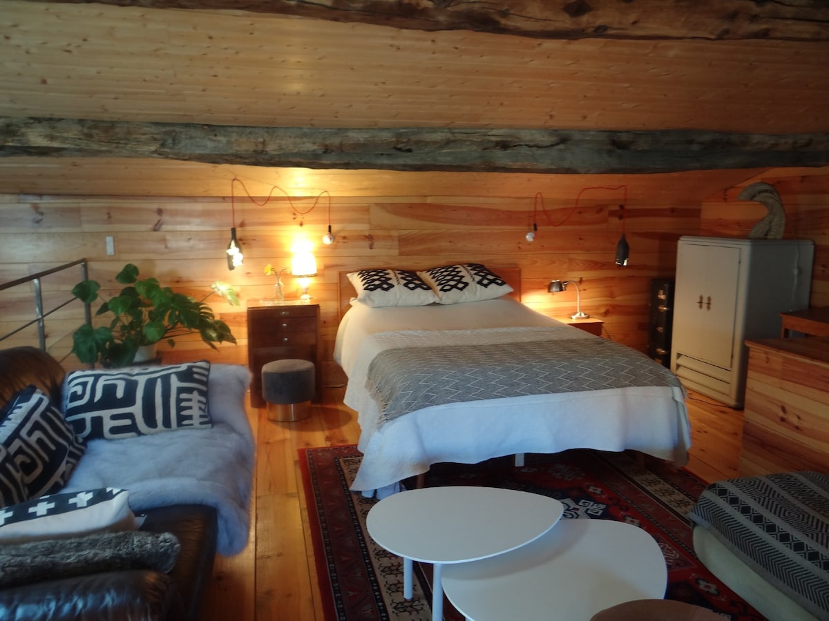 منطقة ميزانين مع تلفزيون - مشغل أقراص DVD/ ميزانين مع قنوات تلفزيونية دولية - مشغل أقراص DVD