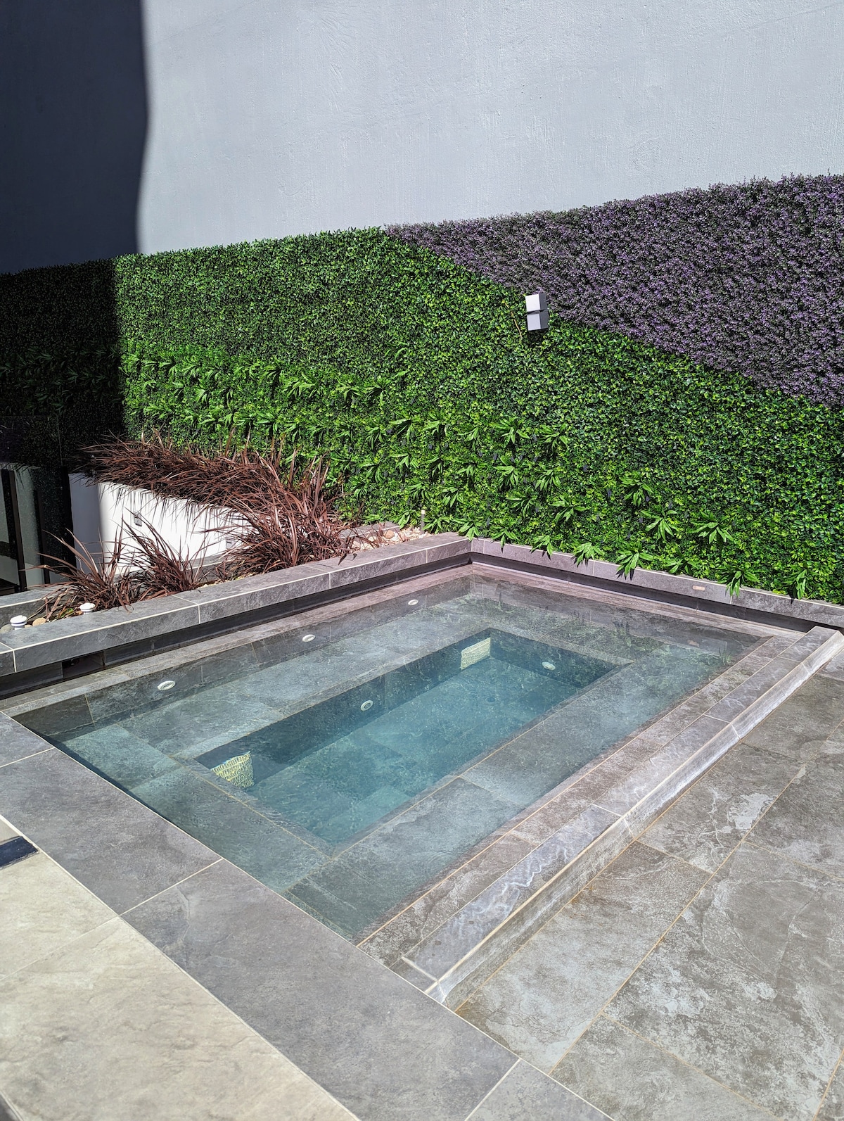 A modern hot tub is surrounded by stone decking, with greenery climbing the adjacent wall. The clear water reflects the sunlight, inviting relaxation. Native plants are integrated into the landscaping, enhancing the tranquil outdoor space.
