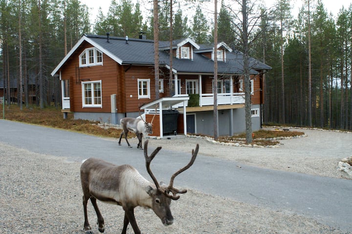 A semi-detached cabin in Levi "A," next to Skiing!