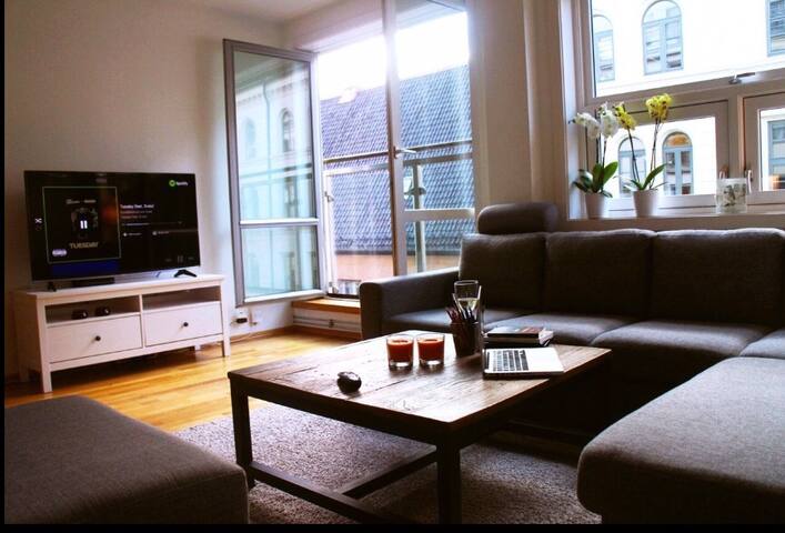 CITYCENTER OSLO DRG14 NEAR EVERYTHING 2BEDROOMS gallery image 5