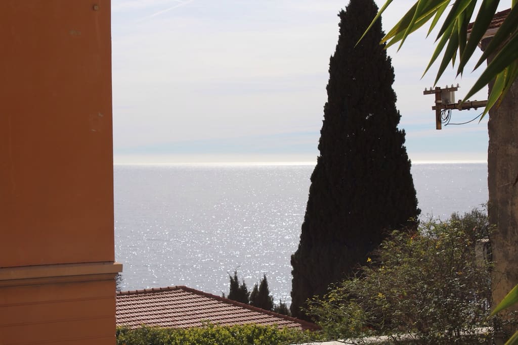 Terrasses et jardin