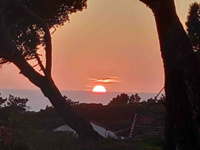 Villa with Luxury Garden in Sintra gallery image 3