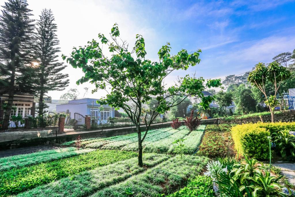 An expansive garden is shown, featuring neatly organized rows of green plants and flowers. A solitary tree stands prominently in the center, surrounded by vibrant greenery. The background includes a glimpse of neighboring houses and trees, under a clear blue sky.