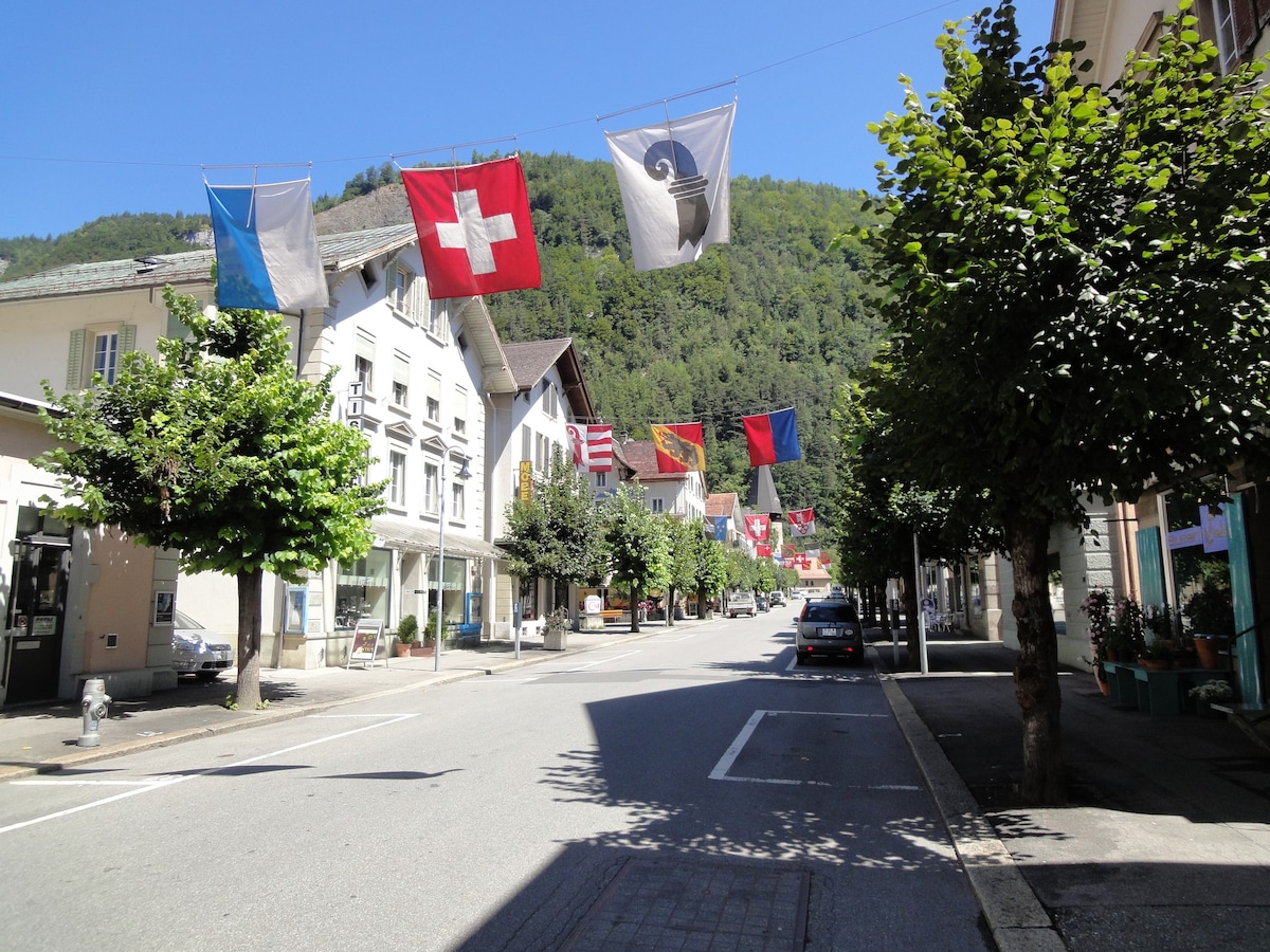 A street view is presented, featuring several flags hanging between buildings, including the Swiss flag. Lush trees line the sides of the road, and a few parked cars are visible. The background displays a green mountain, suggesting a scenic location.