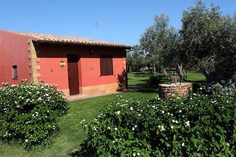 Casa-vacanza Ulivo