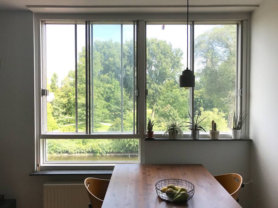 Big windows give the apartment lots of natural light
