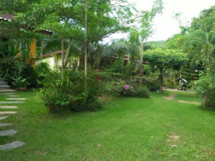 View to the Rooms