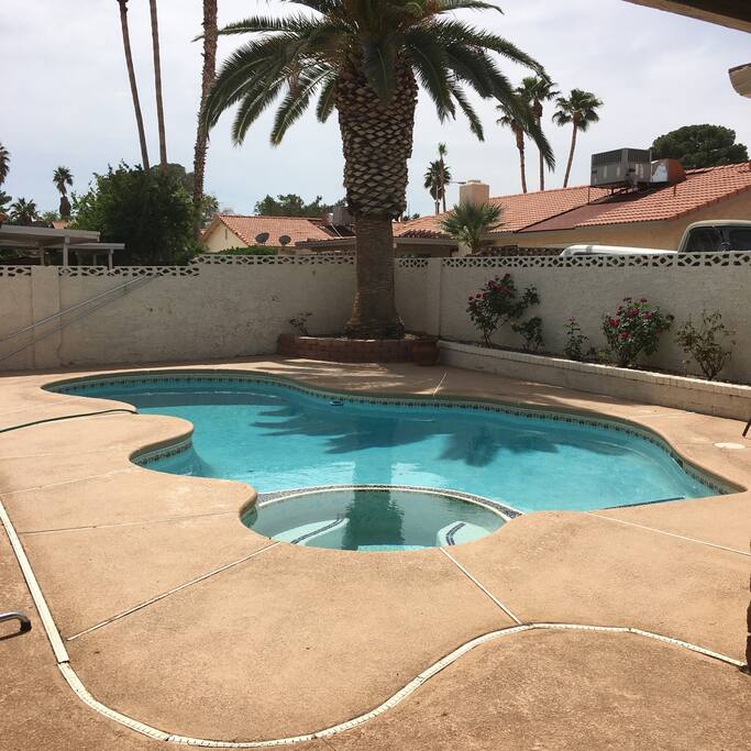 Pool and Spa with a mature Queen Palm
